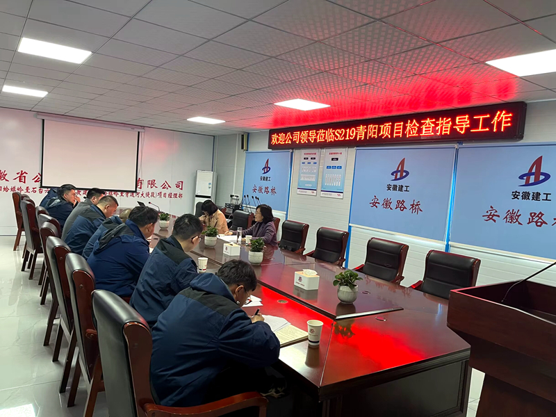 公司黨委委員、紀(jì)委書記王鵬到S219青陽改建項目調(diào)研指導(dǎo)工作